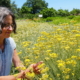 Die Heilpflanze Immortelle in Kreta